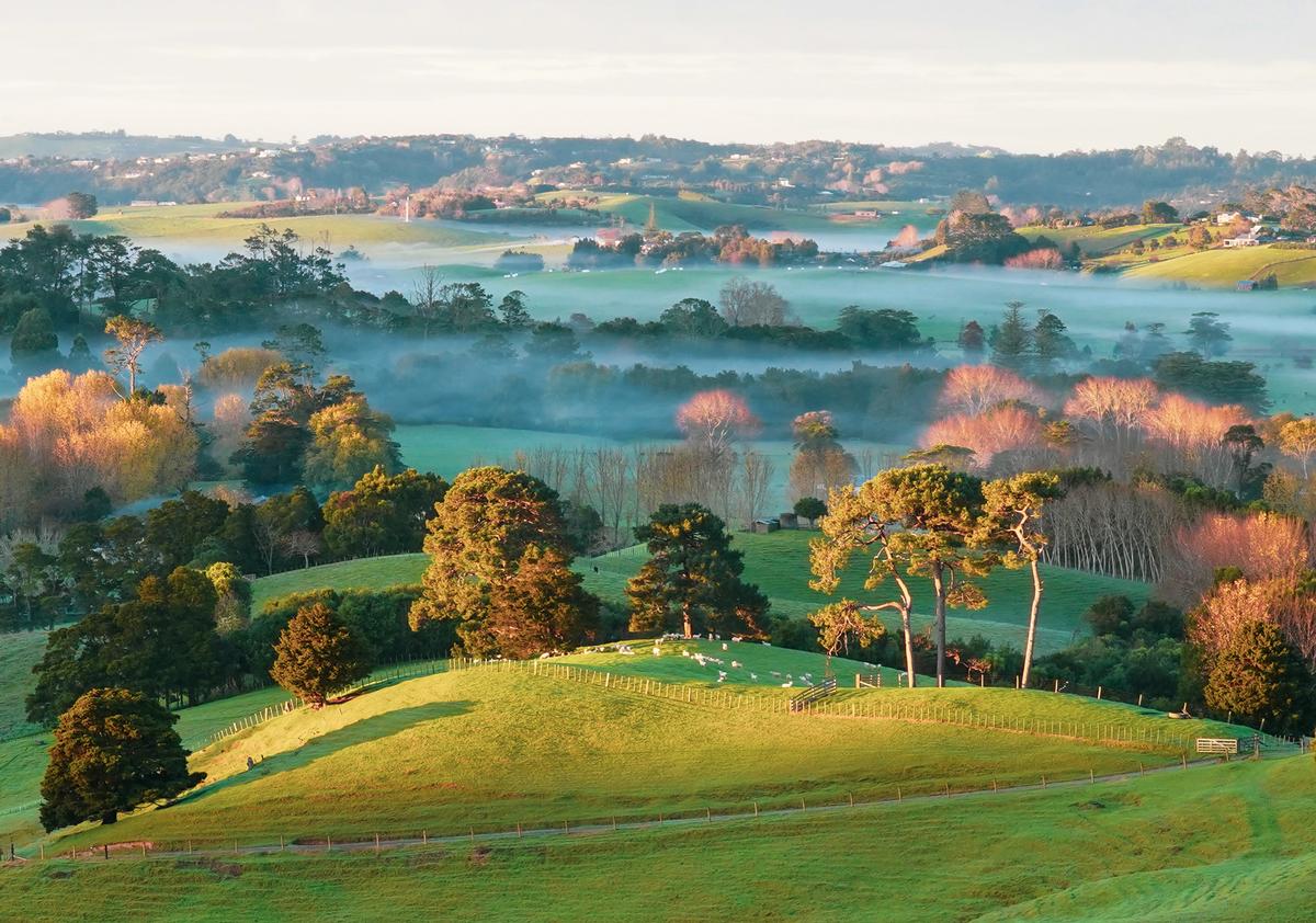 Katherine Norman Misty Morena Matakana